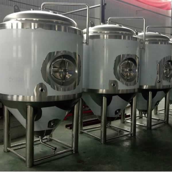 上海東洛500L精釀啤酒項目