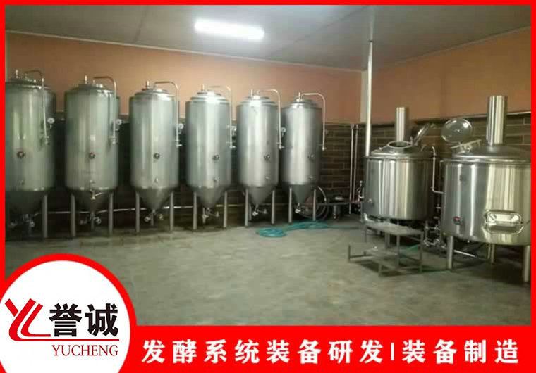 500L自釀啤酒成套設備